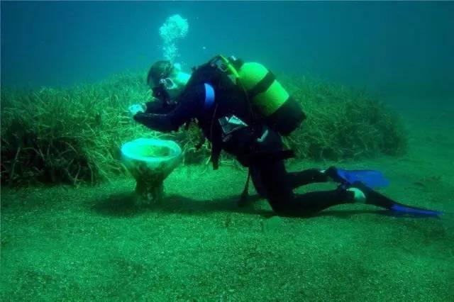 虚拟现实产业园总部基地开工、张村河南等村庄改造项目回迁……2024，崂山要大抓这些大项目